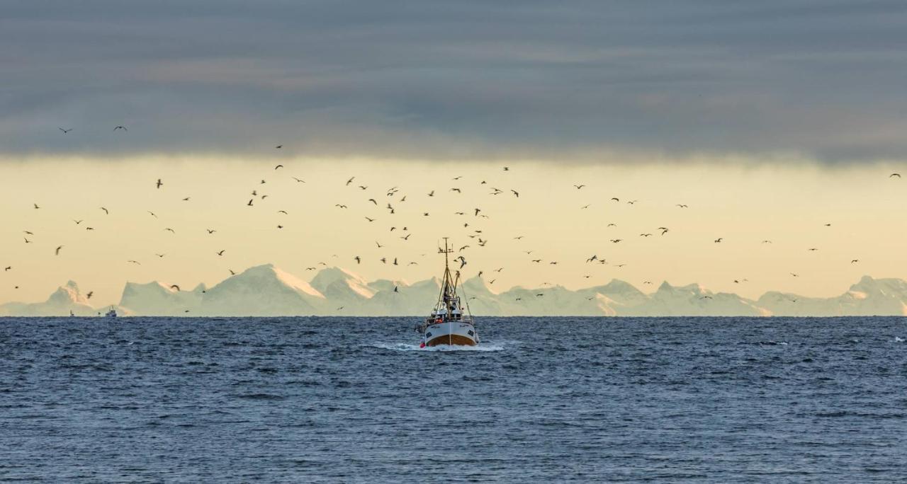 Henningsvær Guesthouse Eksteriør billede